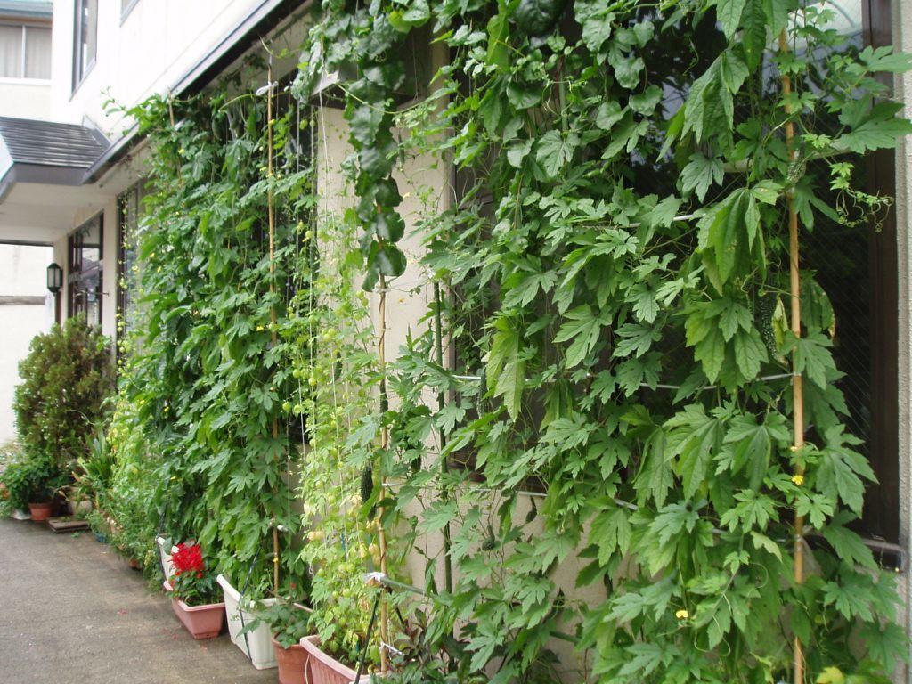 Shinazawa Nozawaonsen Exterior foto